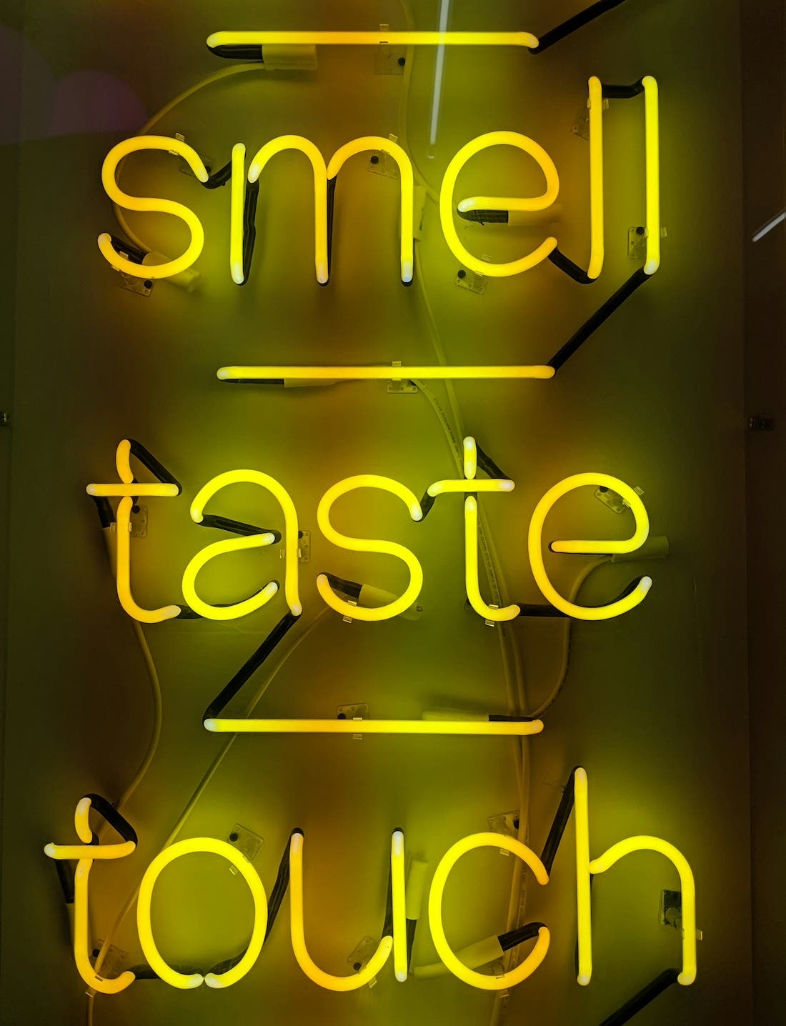 A close-up photograph of a yellow neon sign displaying the words "smell," "taste," and "touch," stacked vertically. Each word is separated by a horizontal yellow neon line. The background is a slightly darker, textured surface, possibly a wall, with a subtle sheen. The neon tubes are bright and emit a warm yellow glow.